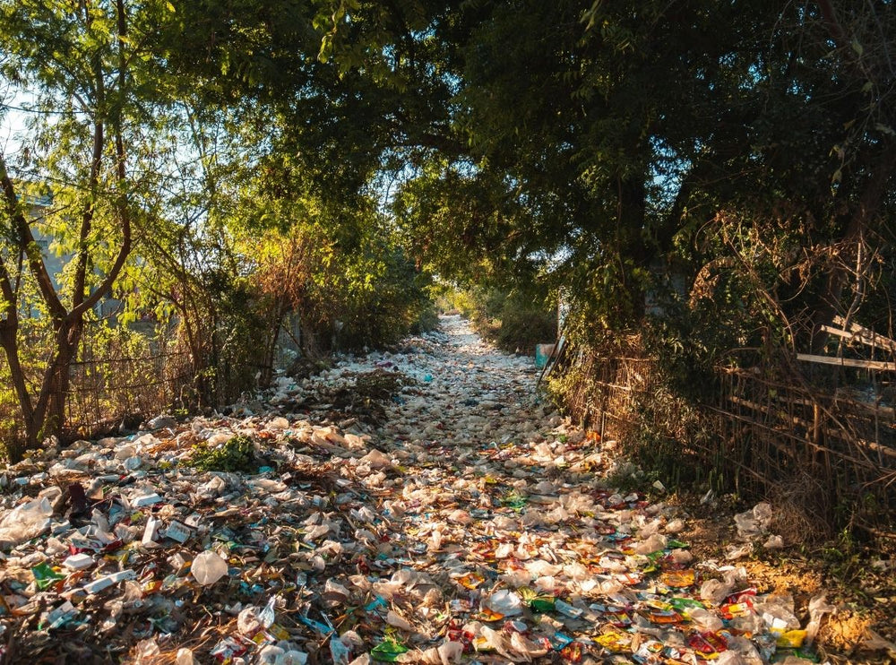 PLASTIC FRAGMENTS ARE TURNING UP WHERE THEY SHOULDN'T.